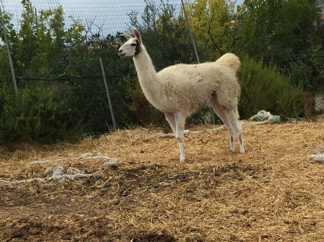 Parco Degli Angeli-Giba必去景点
