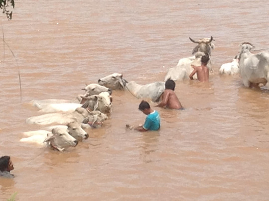 Soben Travel-金边必去景点