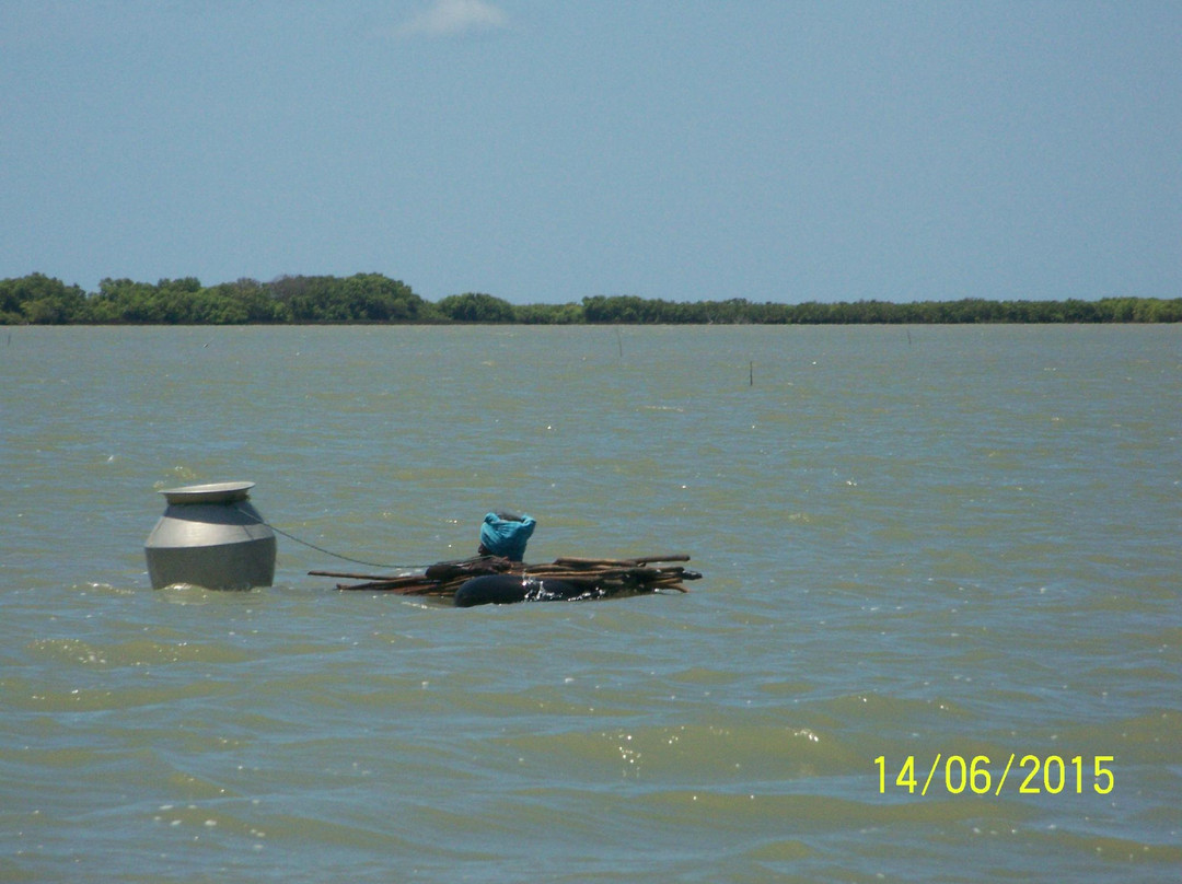 Muthupet Lagoon景点图片