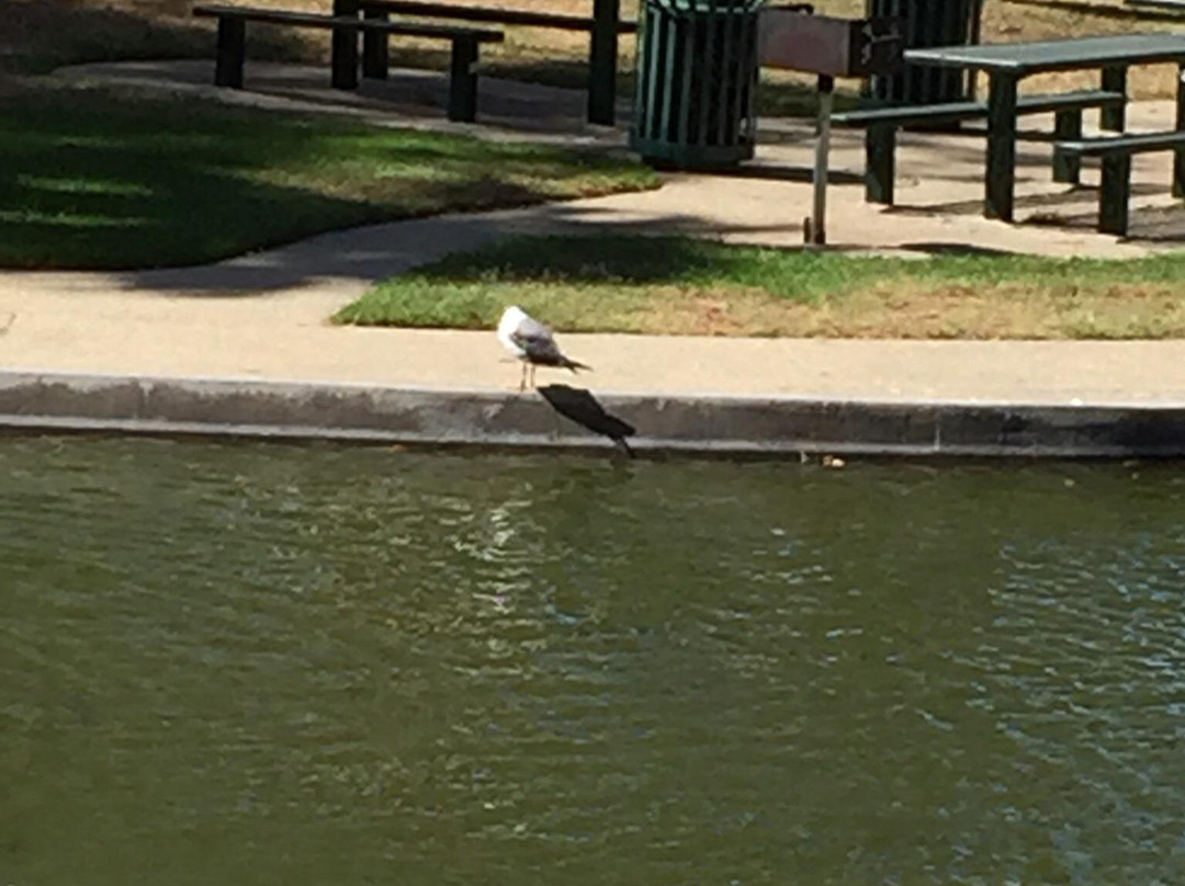 Wilson Park-托伦斯必去景点