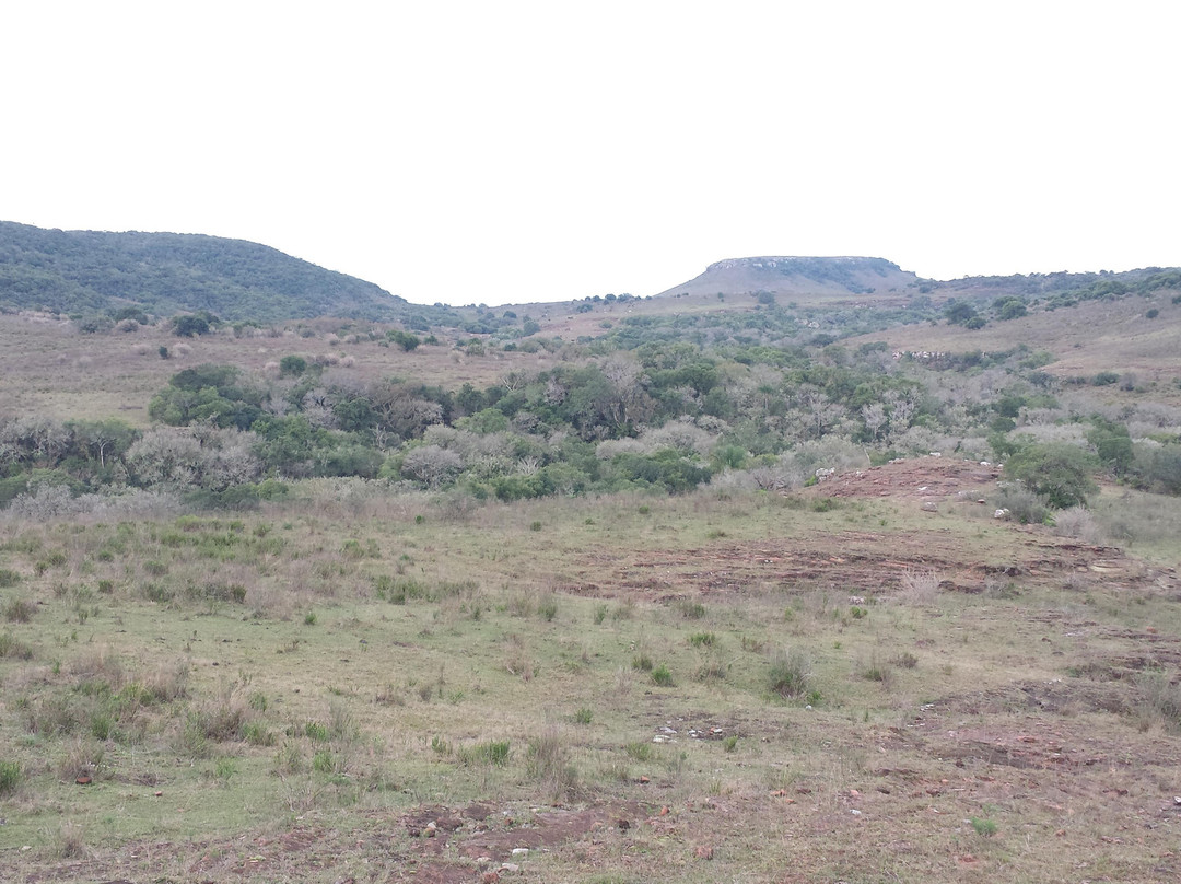 Gruta de los Helechos-Tacuarembo必去景点