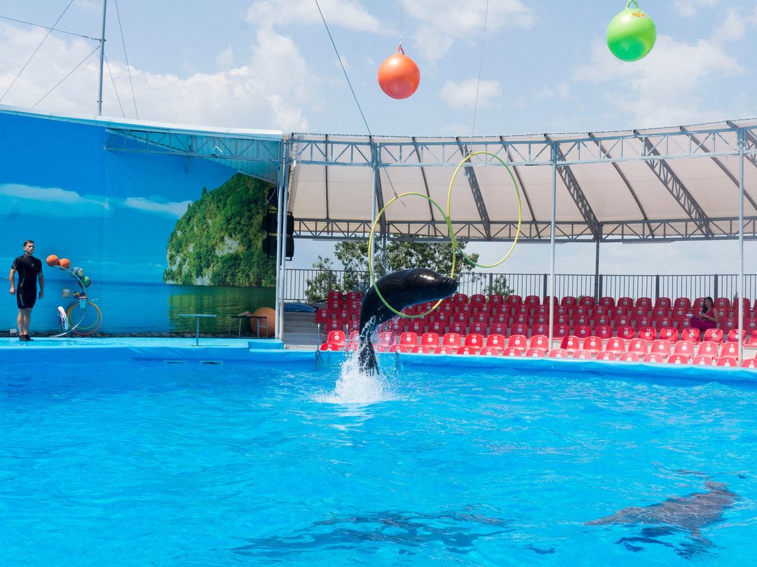 Dolphinarium Nemo景点图片
