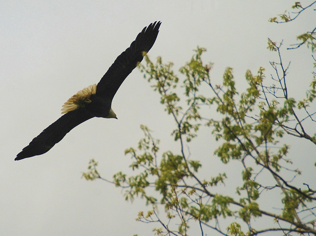Shoal Creek Conservation Area-Litchfield必去景点
