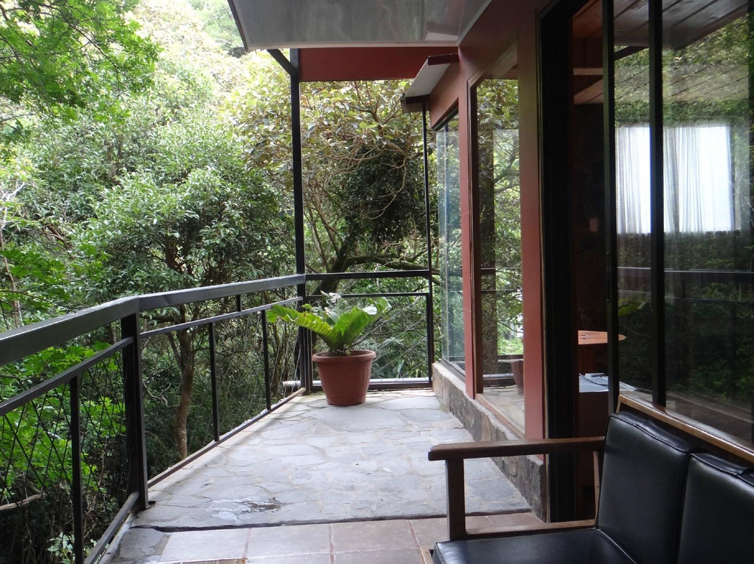 Forest Dreams Hotel