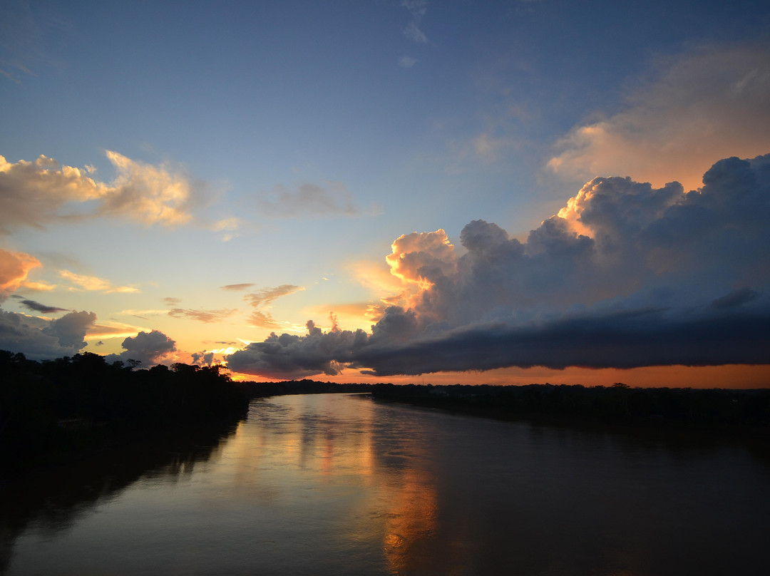 Puente Billinghurst-马尔多纳多港必去景点