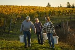 Kramer Vineyards-Gaston必去景点