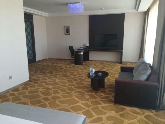 天王国际酒店-客卧