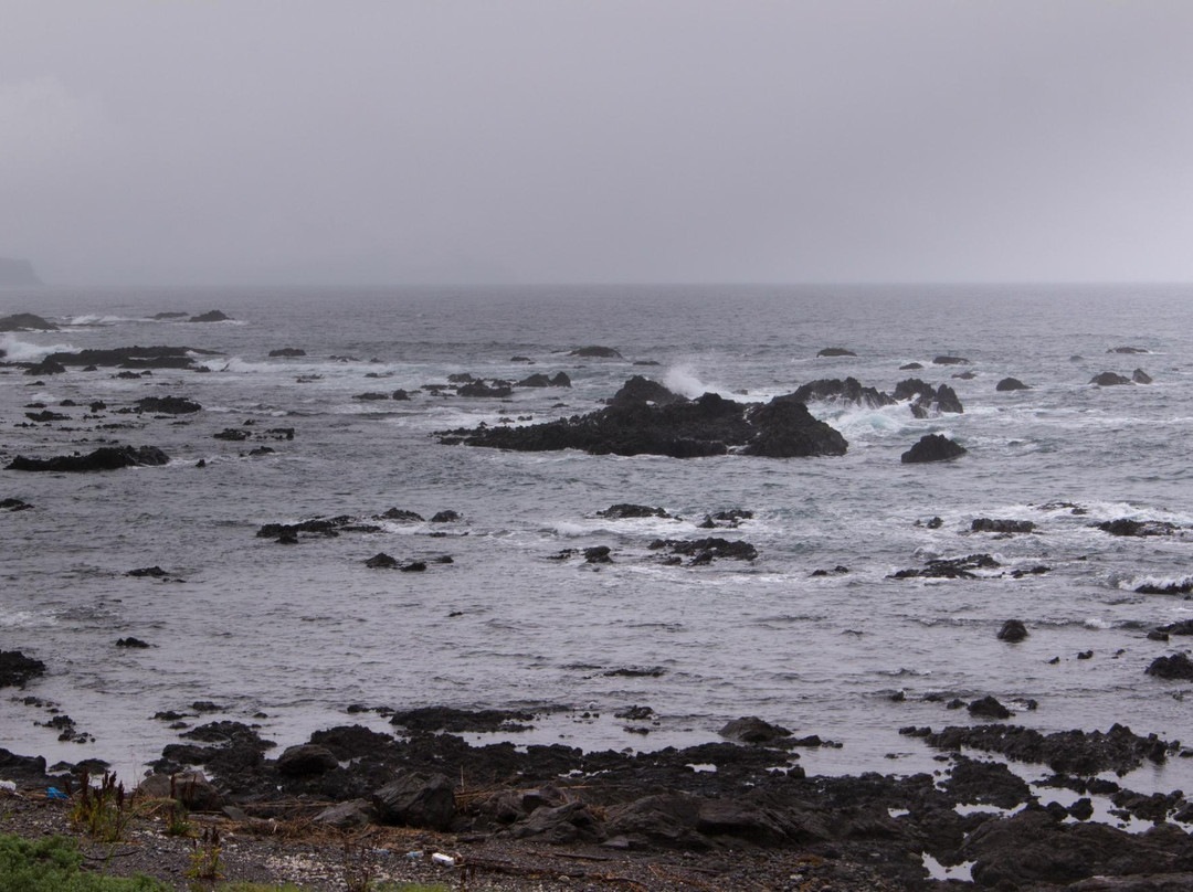 Cape Inomisaki Coast-黑潮町必去景点