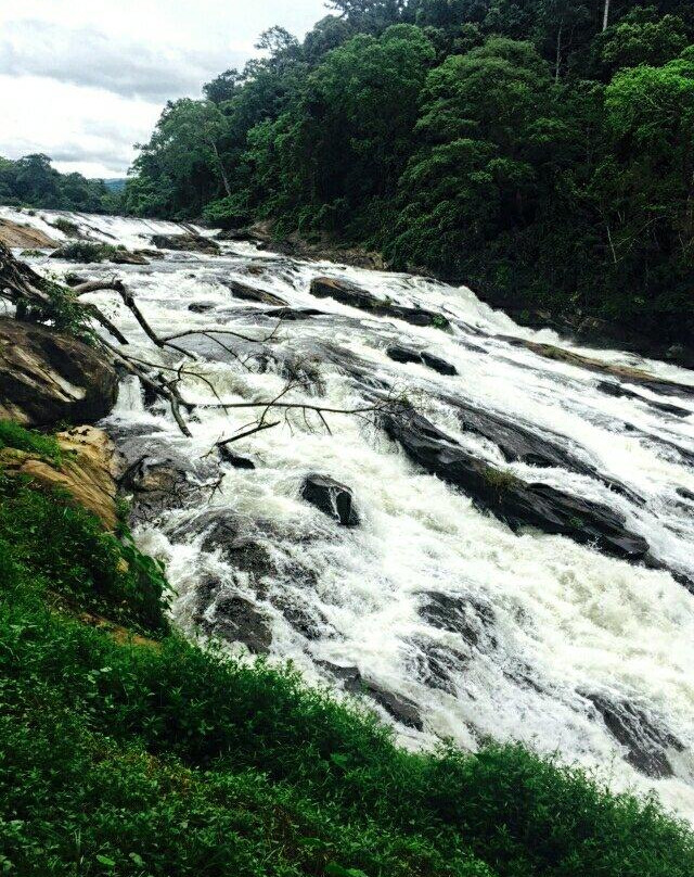 Vazhachal Waterfalls-德里久尔必去景点