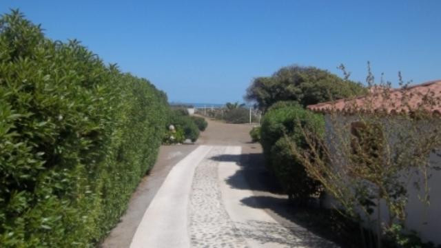 Curicó Valley Wine Route-Curico必去景点