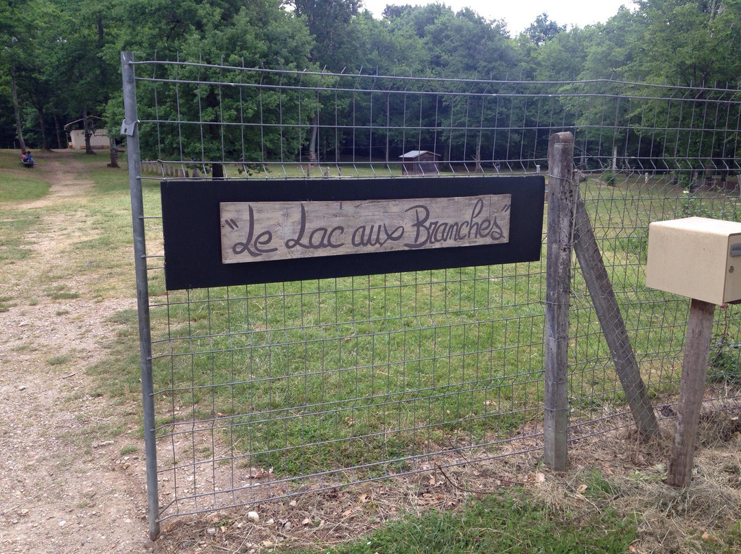 Lac aux Branches景点图片