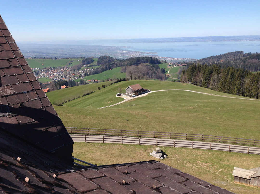 Gasthaus zum Gupf主图