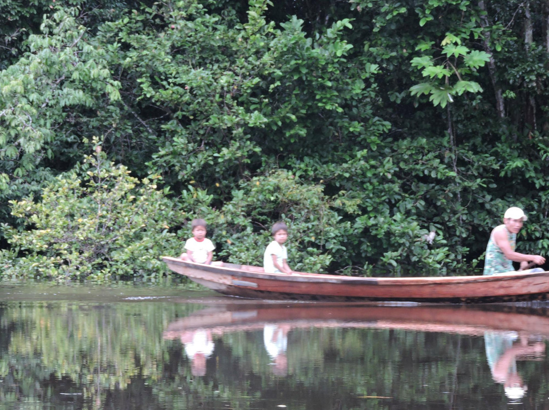 Wild Yarapa Amazon Jungle Lodge