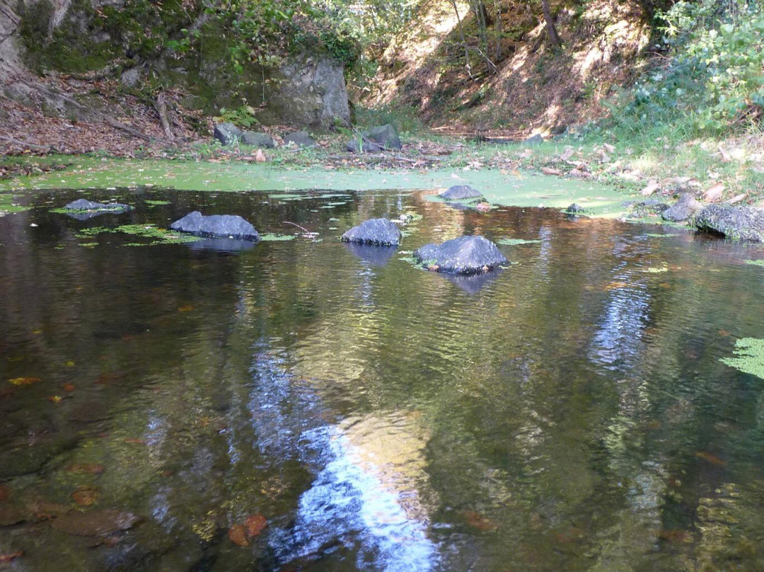 Étang de la Pouge景点图片
