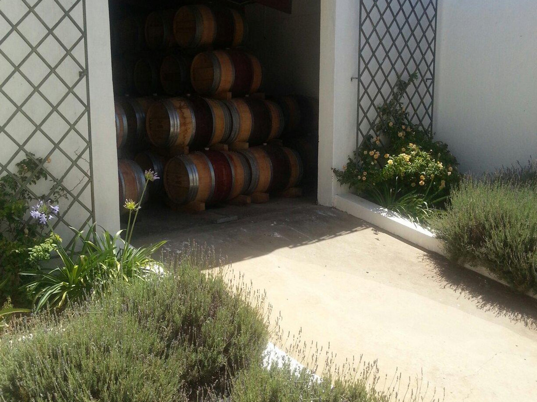 Cloof Wine Estate-Darling必去景点