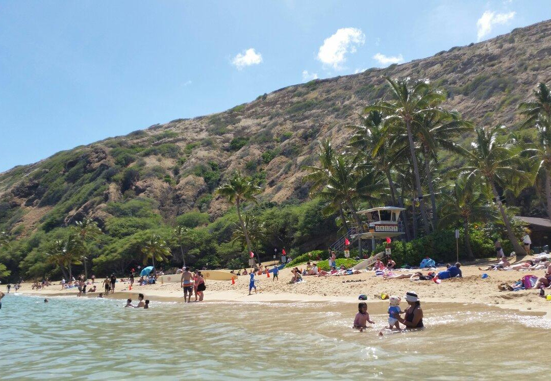 Snorkelfest Snorkel Hanauma Bay-火奴鲁鲁必去景点