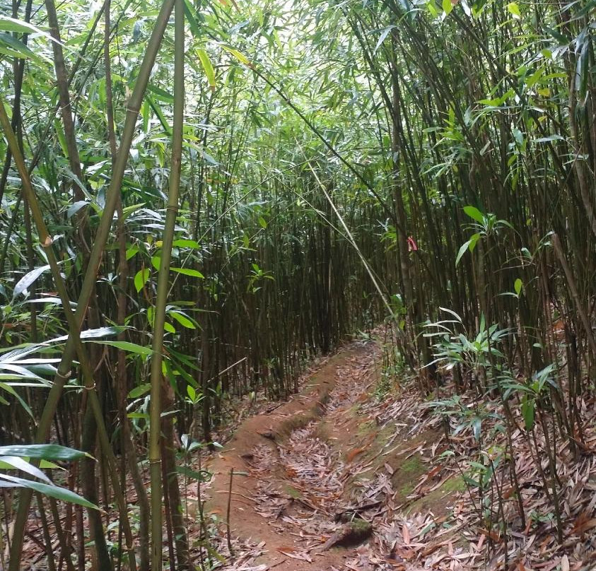 Ahupua'a O Kahana State Park-卡阿瓦必去景点