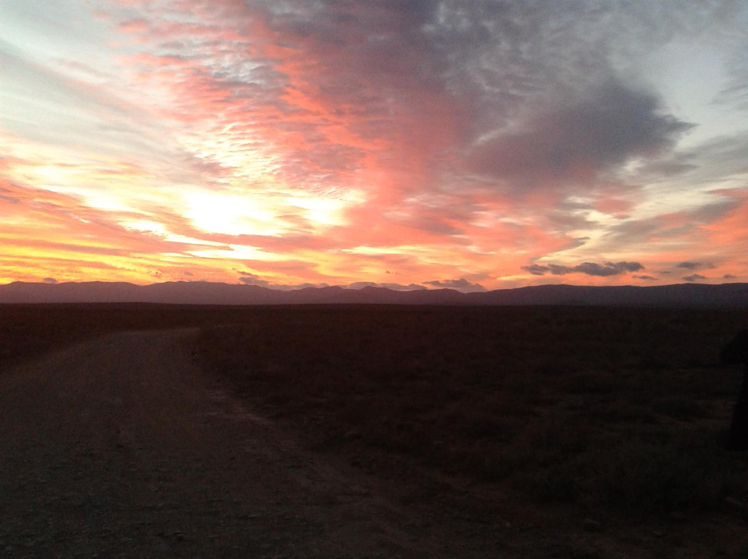 Inverdoorn Private Game Reserve-开普敦中心区必去景点