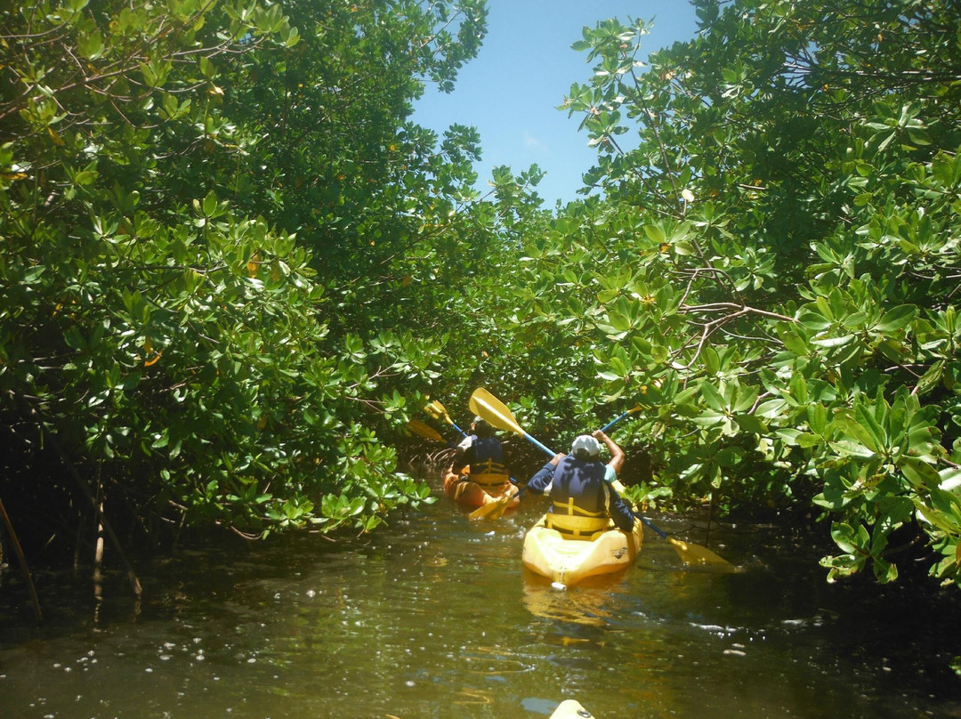 Island Kayaking Adventure-Ceiba必去景点