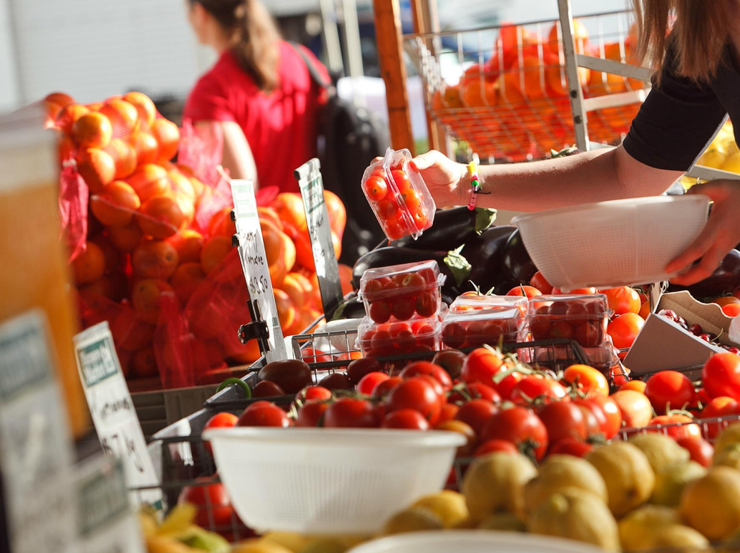Mitchell旅游景点-Capital Region Farmers Market