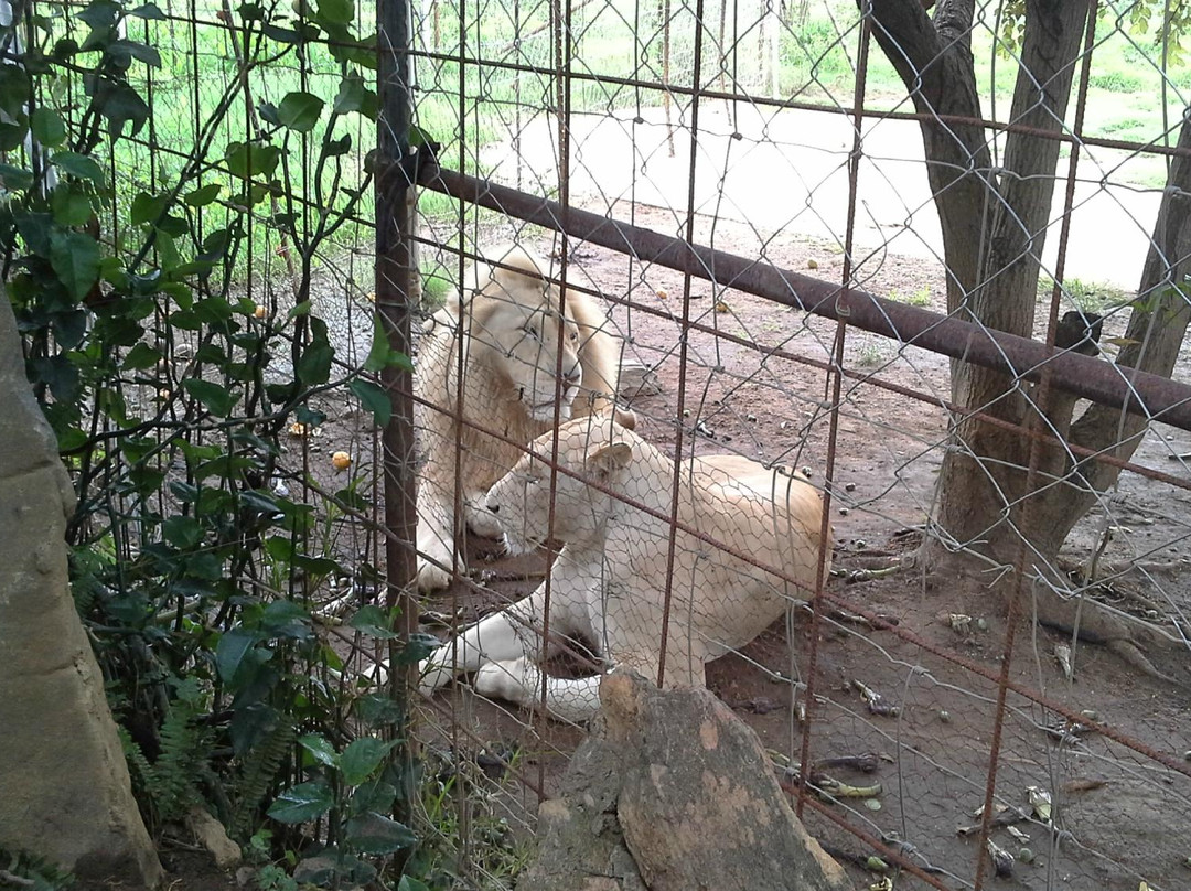 Parays Game Ranch-卢萨卡必去景点