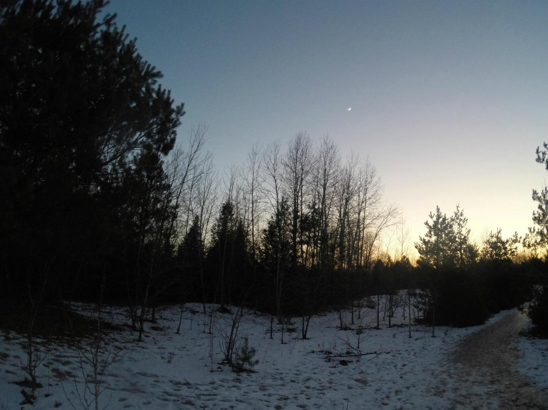 Heber Down Conservation Area-Whitby必去景点