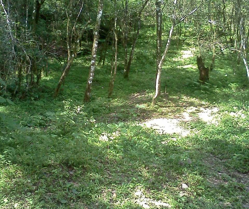 Reserva del Huaico-圣洛伦索必去景点