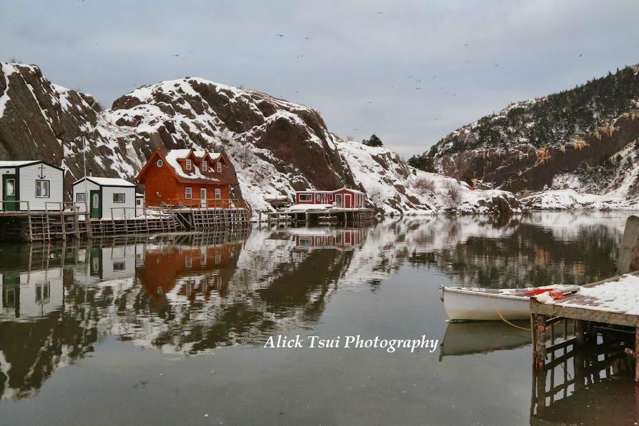 Quidi Vidi景点图片