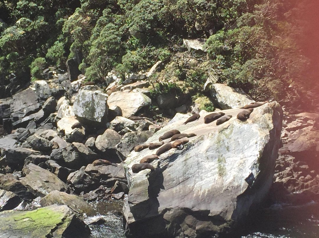 RealNZ-米尔福德峡湾必去景点