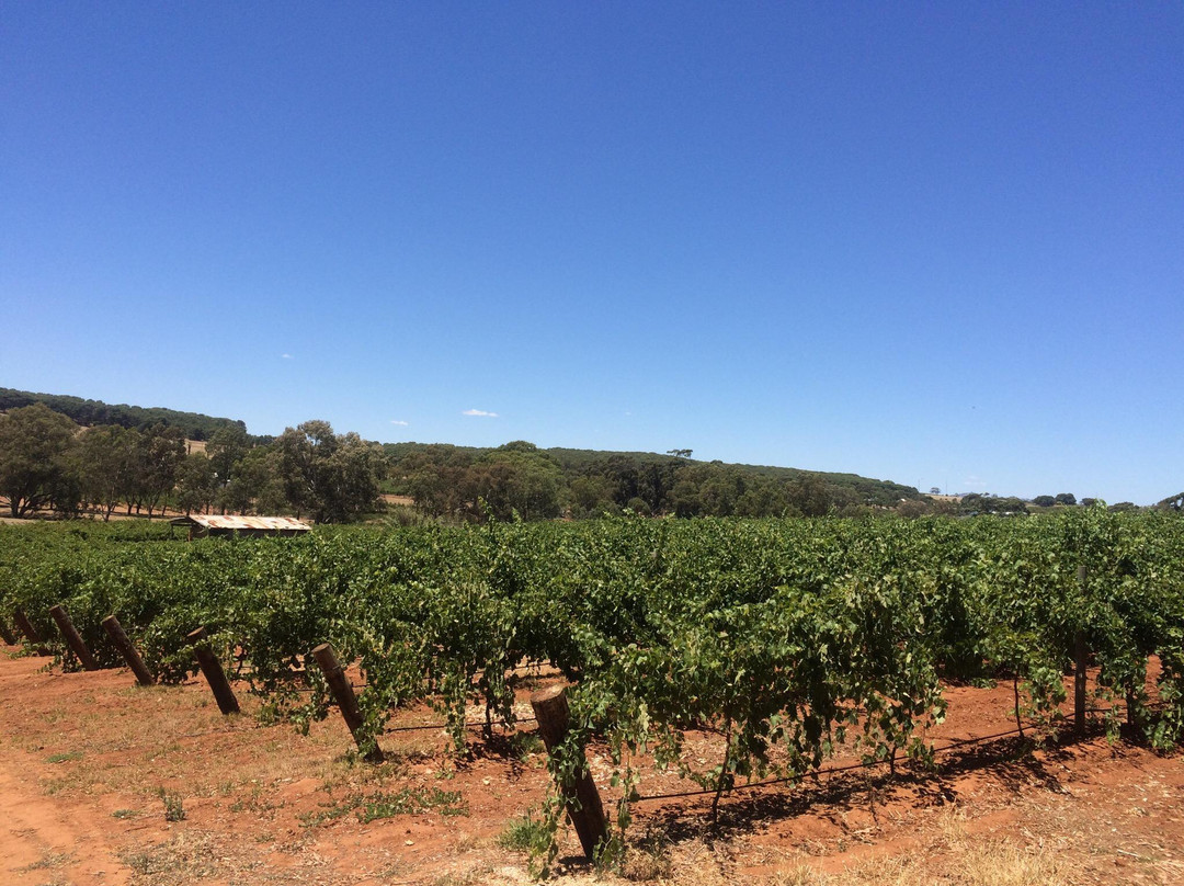 Greenock Creek Wines景点图片