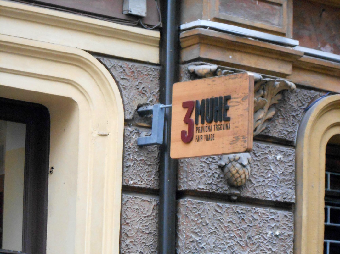 Pravična Trgovina 3MUHE-卢布尔雅那必去景点