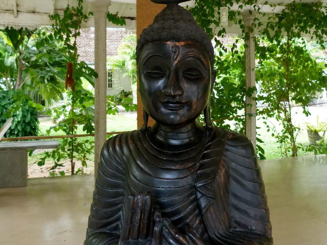 Fire Dragon Hideaway主图