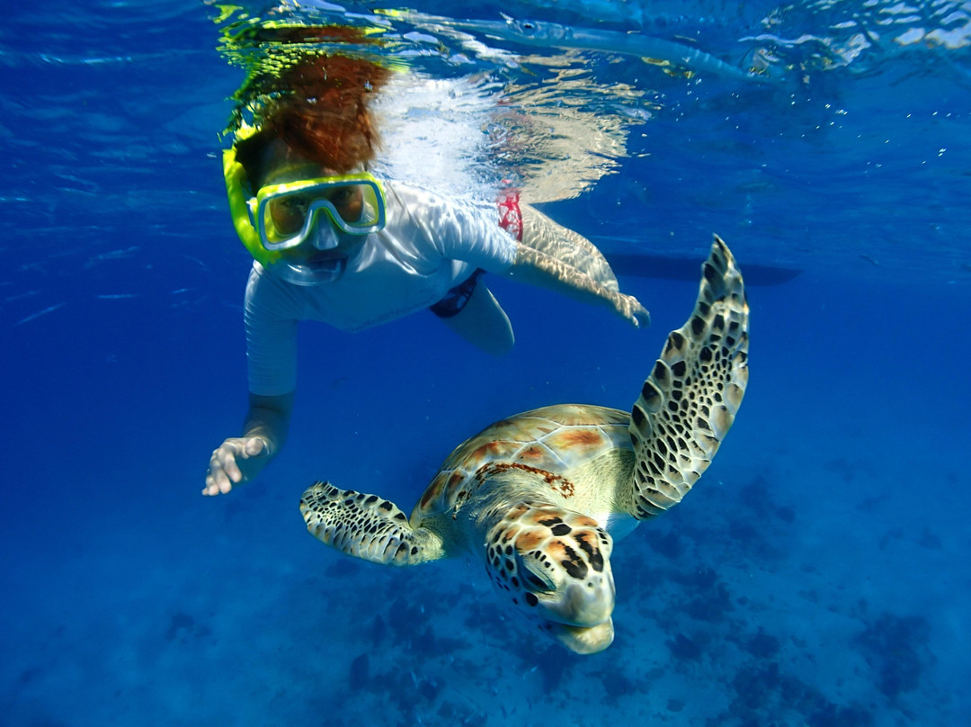 Cliff Sharker-奥伊斯廷斯必去景点