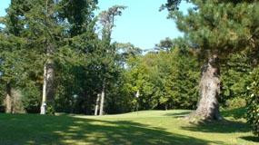 Golf Club Crinière景点图片