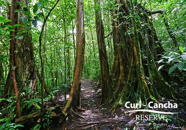 Curi Cancha Reserve景点图片