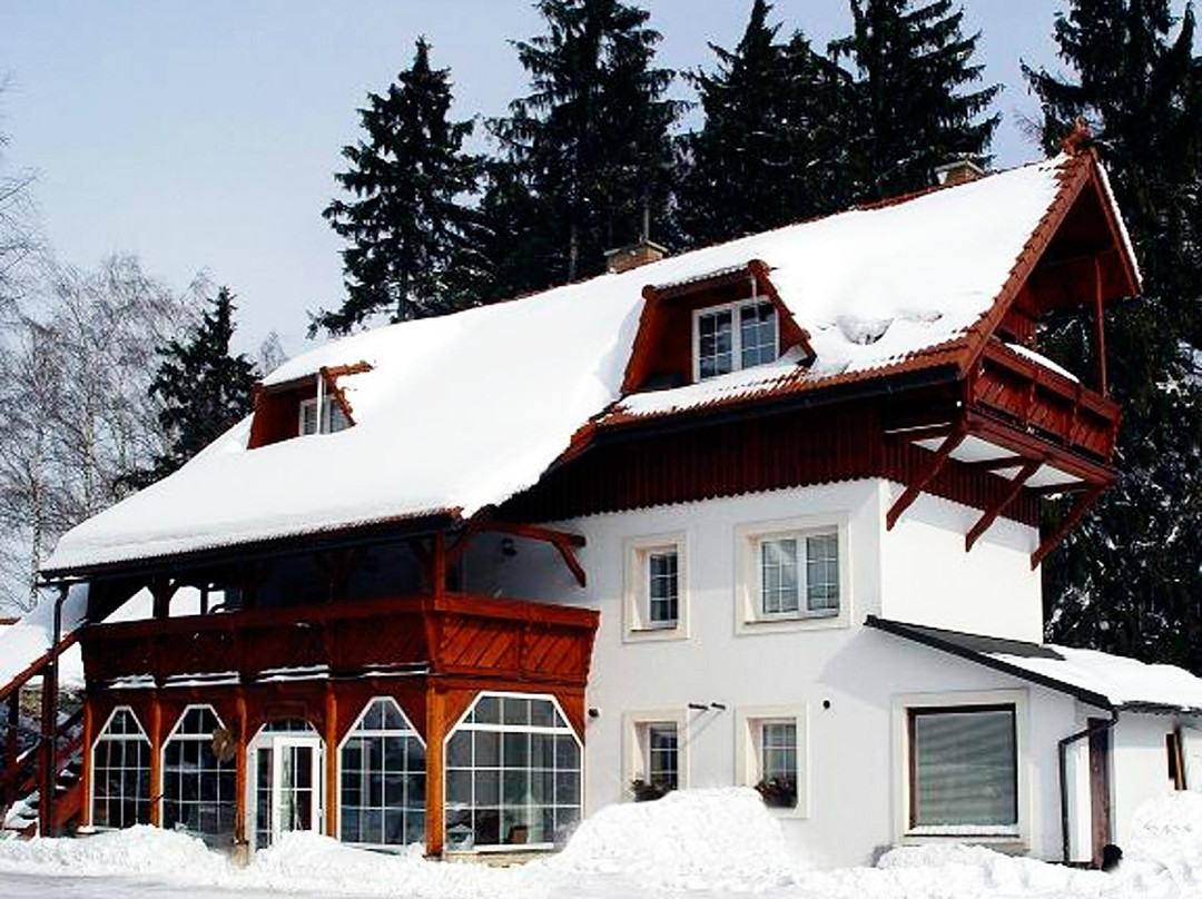 Studenec酒店住宿-Pension Trautenberk