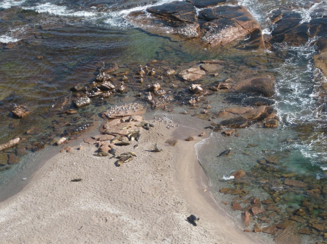 Point Labatt Conservation Park-Streaky Bay必去景点