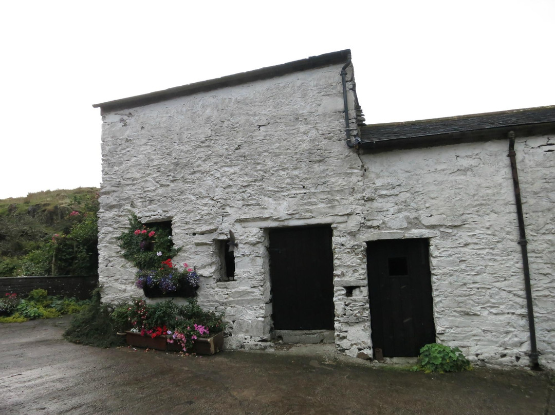 Birchbank Cottage and Camping Site
