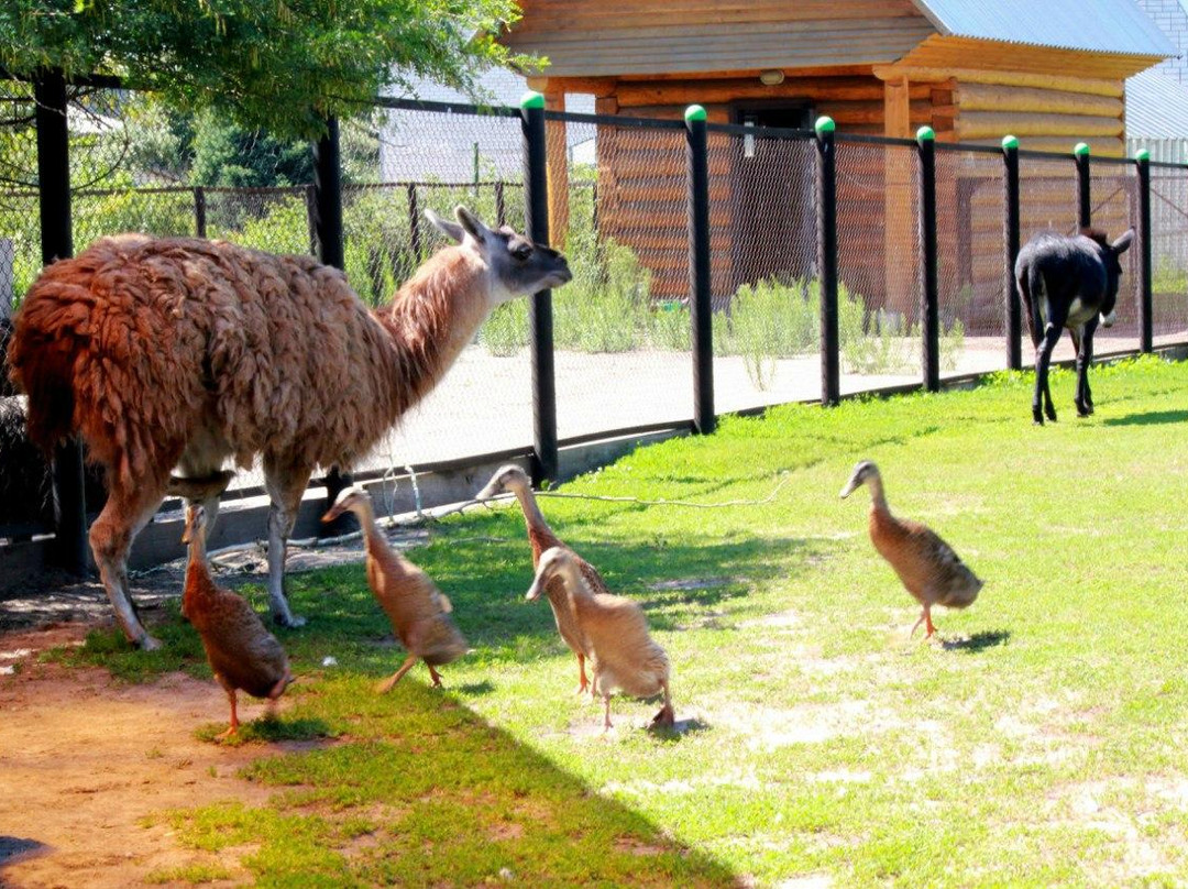 Ostrich Ranch-Barnaul必去景点