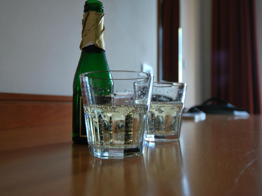 Slovan Comfort Hotel主图