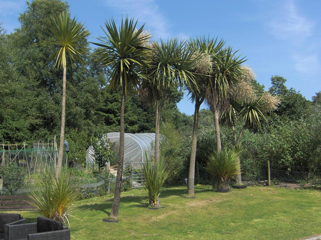 Palm Garden House主图