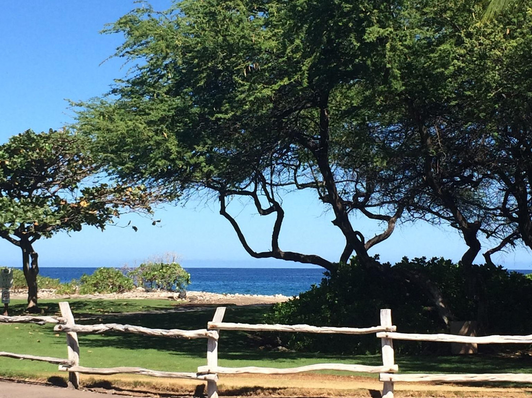 Holoholokai海滩公园-夏威夷大岛必去景点