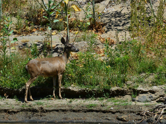 El Capitan Reservoir-Lakeside必去景点