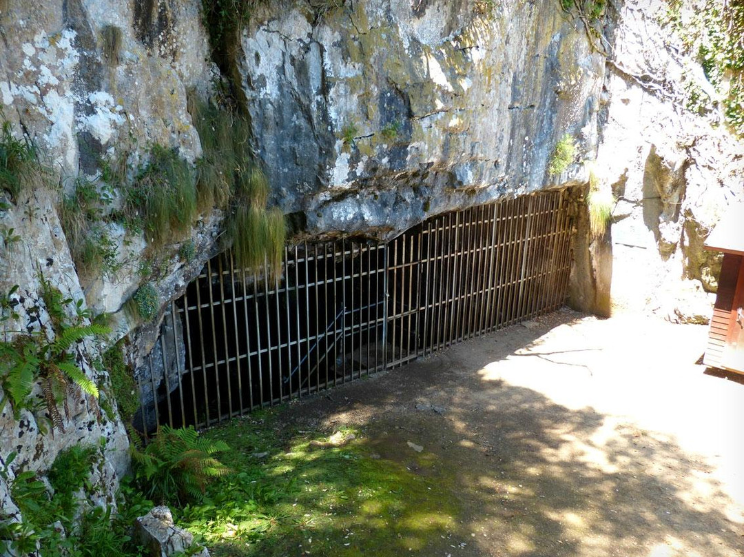 Cueva de El Pindal景点图片