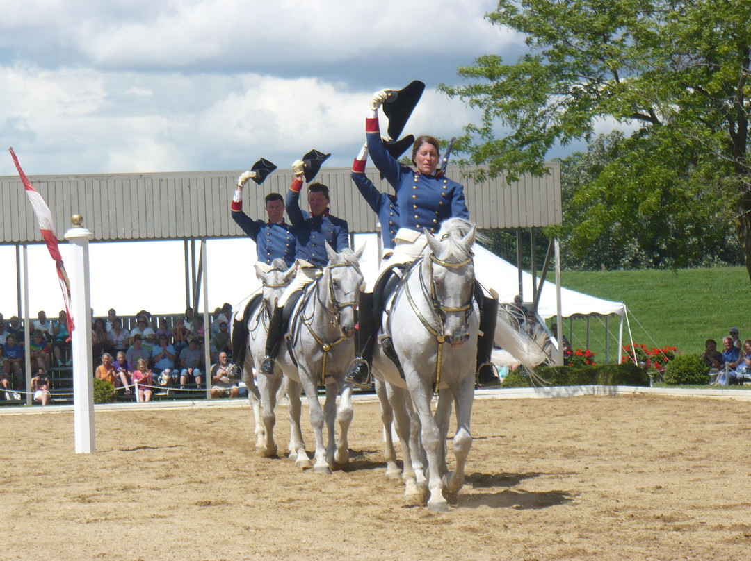 The Tempel Lipizzans-Old Mill Creek必去景点