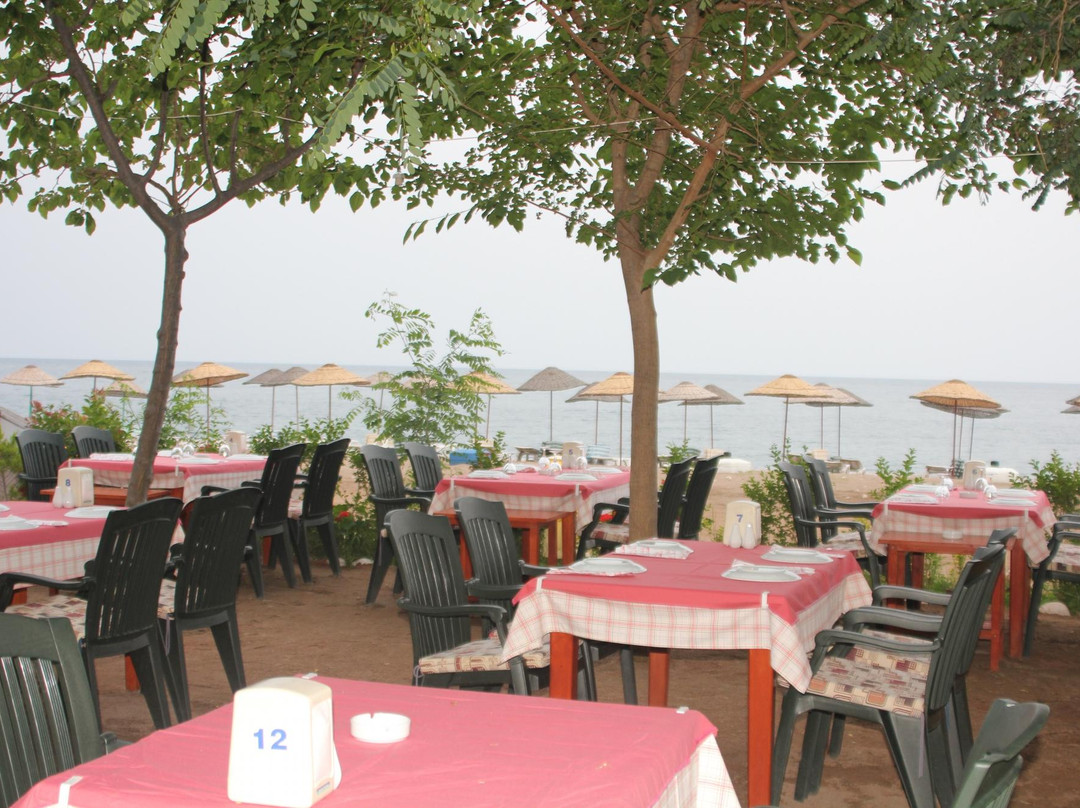Star Restaurant