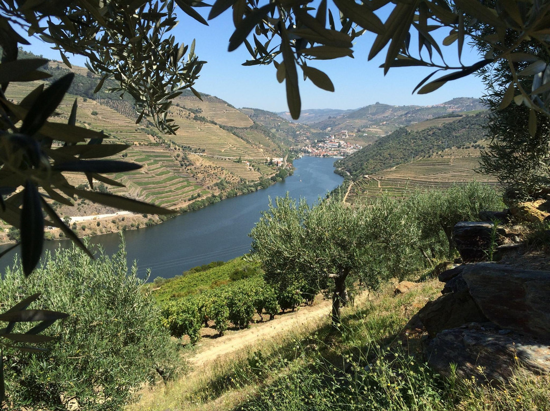 Quinta do Seixo - Sandeman景点图片