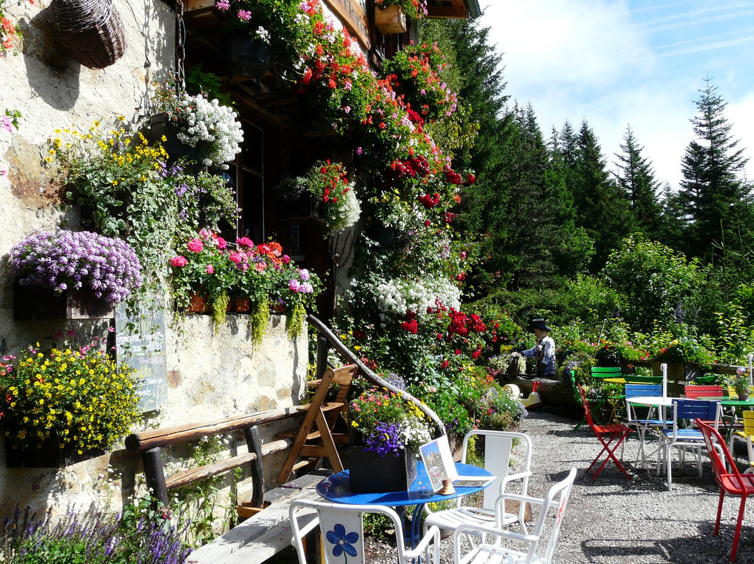 Les Praz-de-Chamonix旅游攻略图片