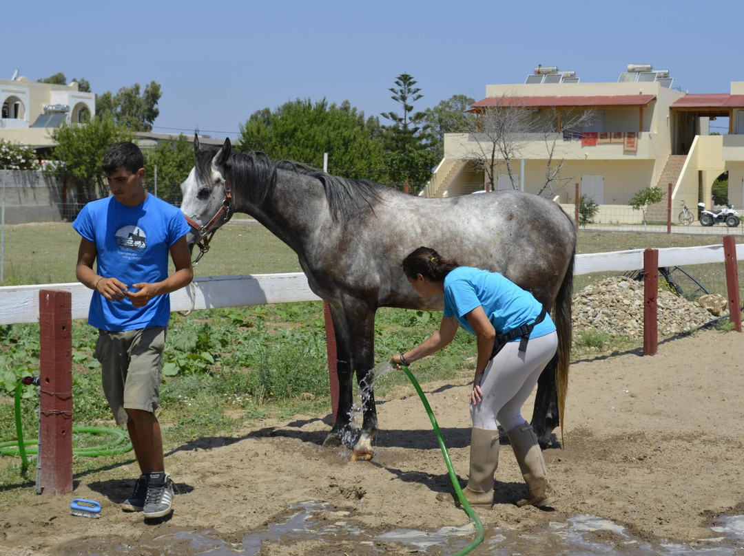 Erika's Horse Farm Kos-Marmari必去景点