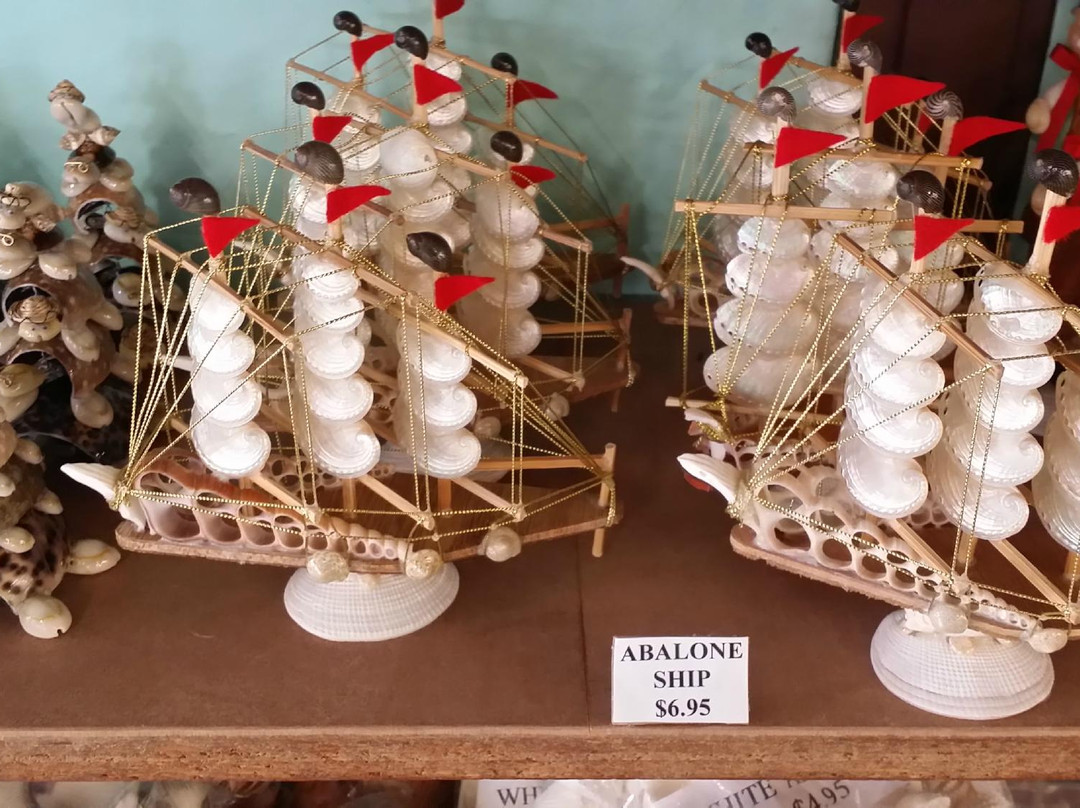 The Shell Shop-莫罗贝必去景点